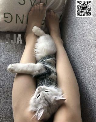 乡村爱情十