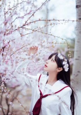 我就是这般女子电视剧免费观看